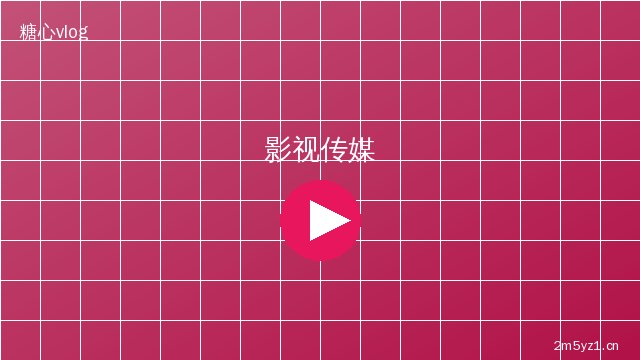 探花影视传媒